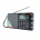 Tecsun PL880 Radio with Digital Signal Processing